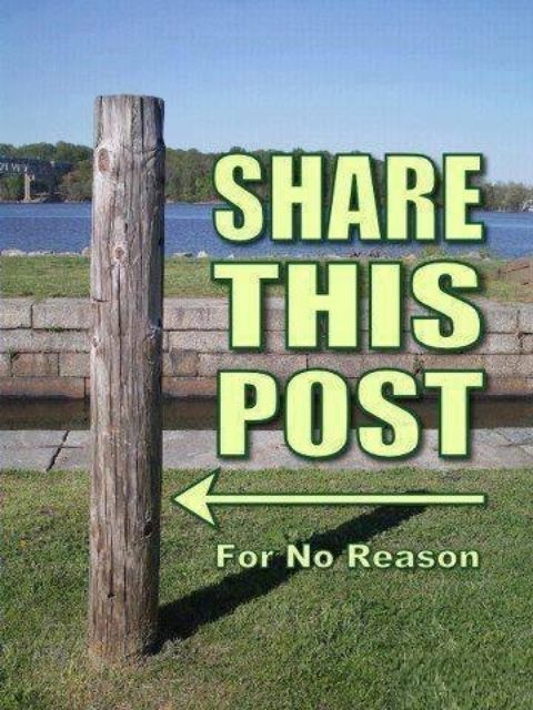 77a0bba433dc17d0258ccdc914076233[1]